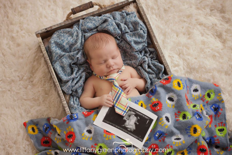 Lincoln Newborn Photographer