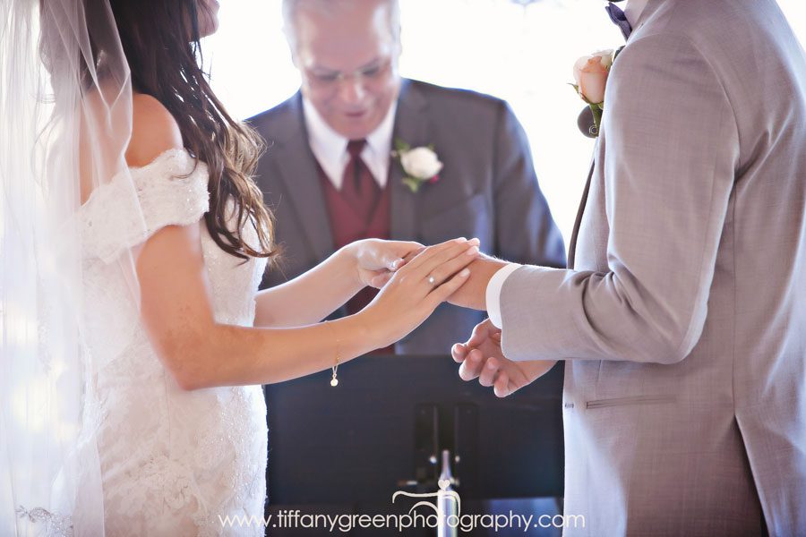 Ring Exchange Wedding Ceremony