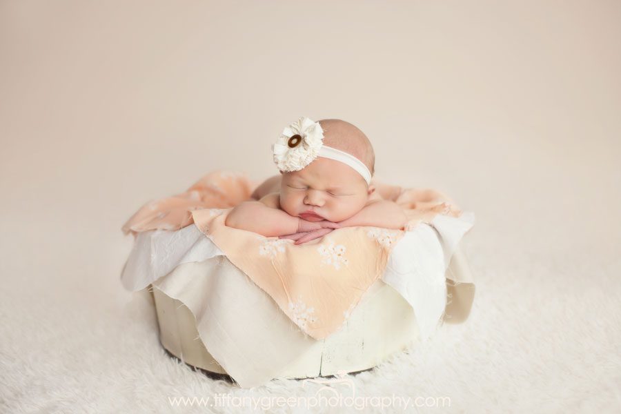 Newborn Photographer