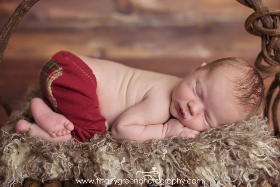 Log Bed for Newborn Photography