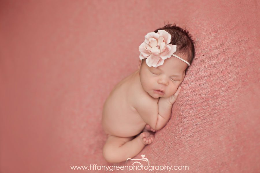 Rocklin Newborn Photographer