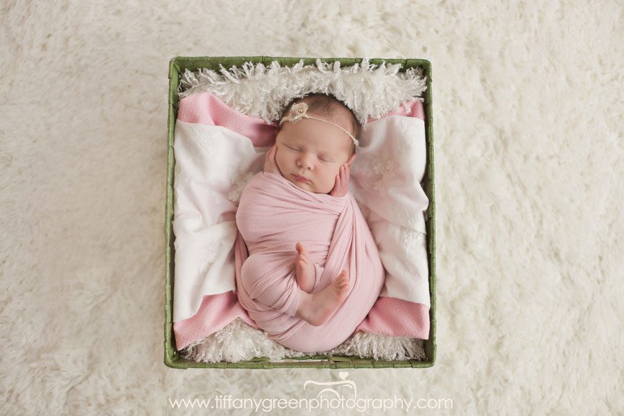 Roseville Newborn Photographer